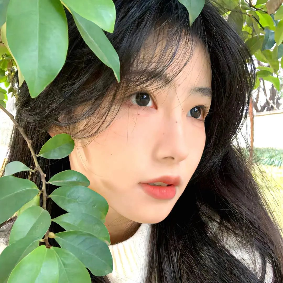 惊青三人组