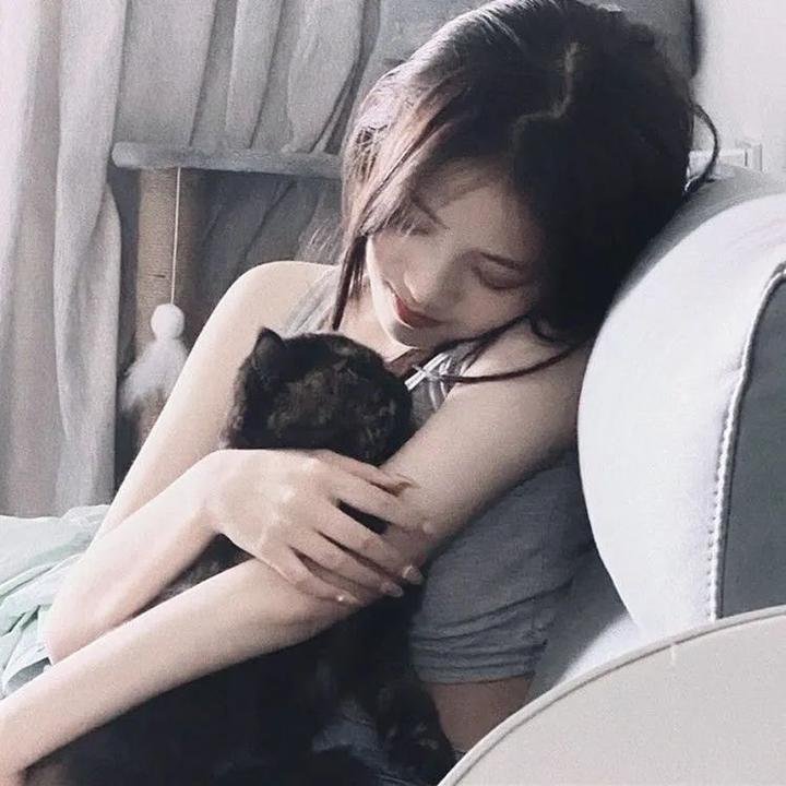 房子的故事
